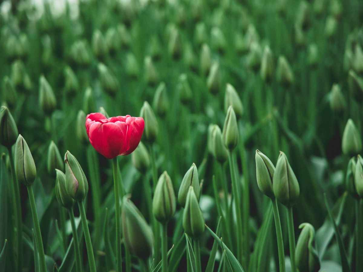 את לא COPY&nbsp;PASTE