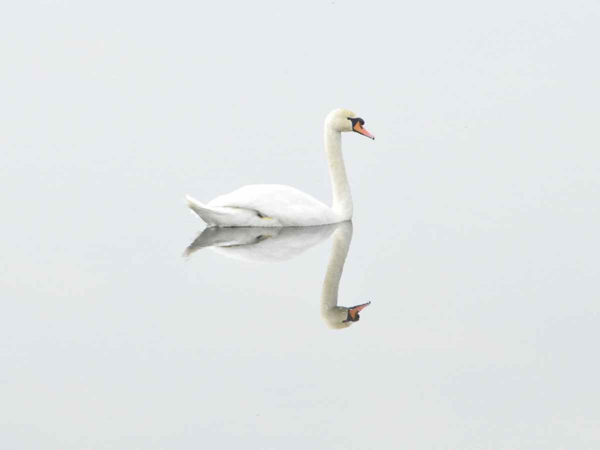 היכולת לשנות, הרצון&nbsp;להשתנות